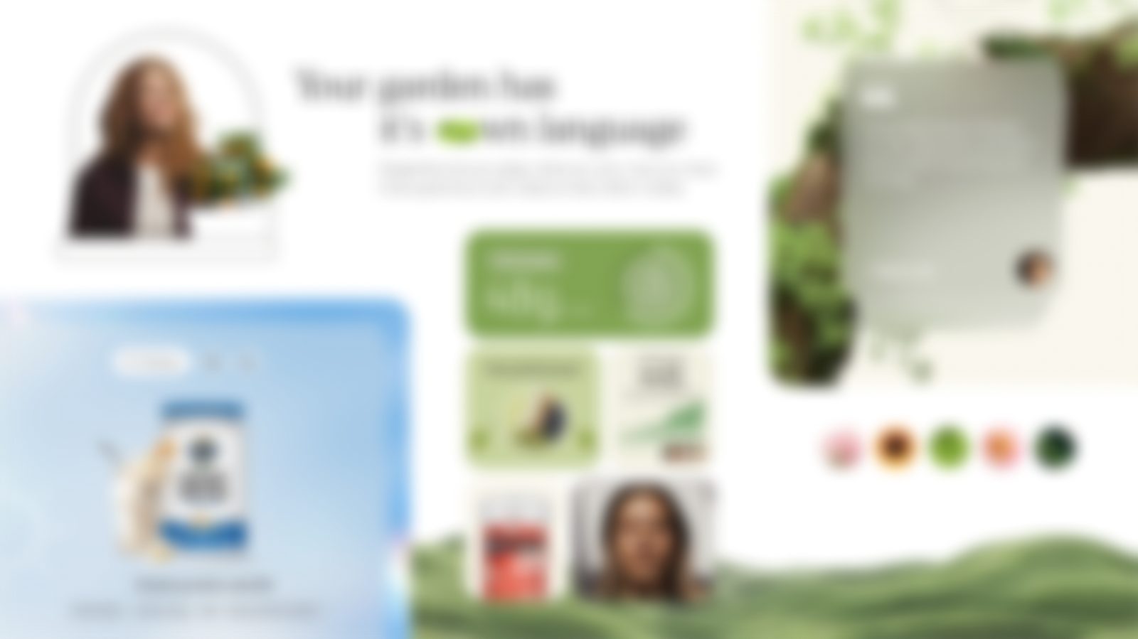 Homepage concept directions (selectively blurred for confidentiality)